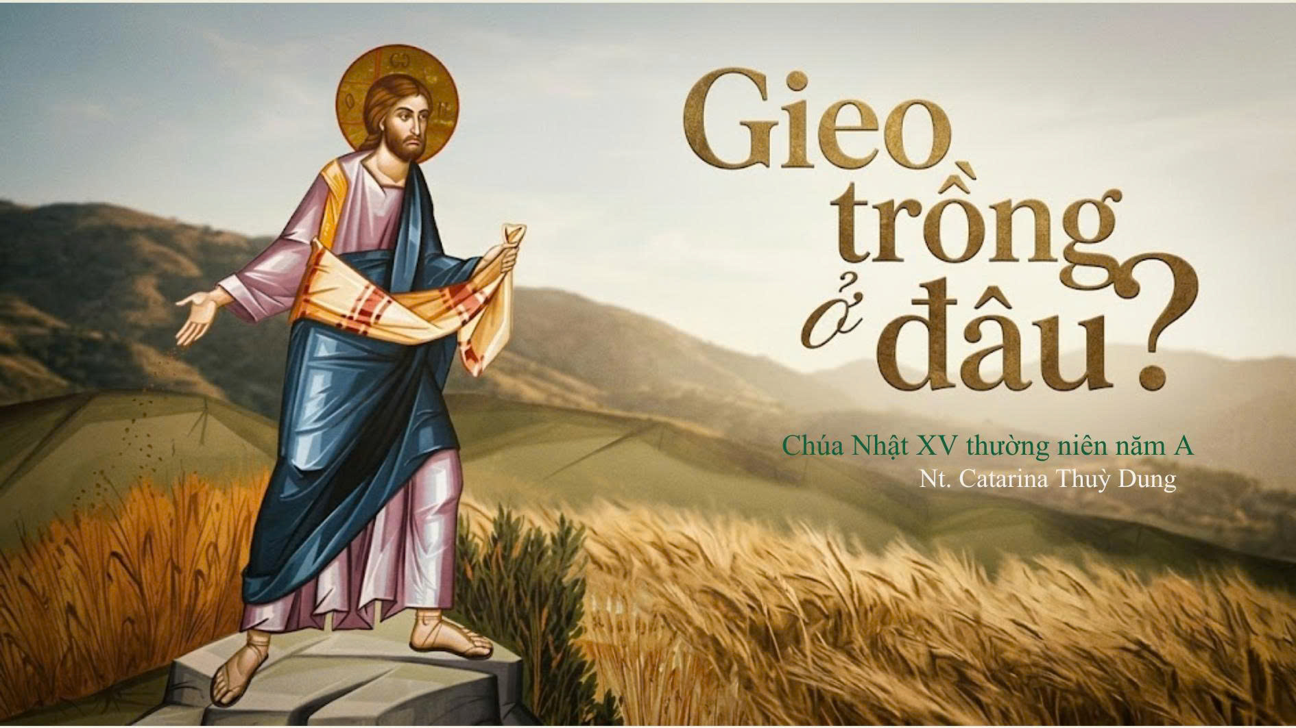 Gieo trồng ở đâu?: Chúa Nhật XV thường niên năm A (Sr. Thuỳ Dung)